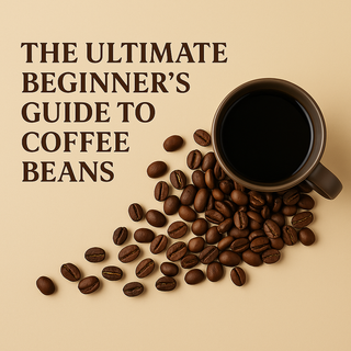 The Ultimate Beginner's Guide to Coffee Beans