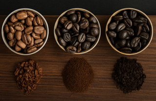 Understanding Coffee Roast Levels: Light vs Medium vs Dark Explained