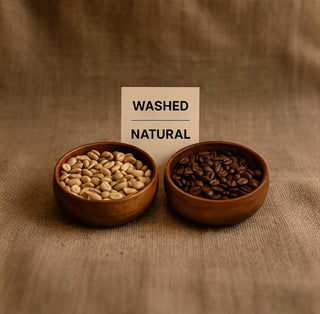 What “Washed” and “Natural” Really Mean in Coffee