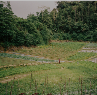 What’s the Difference Between Single Origin and Blends?